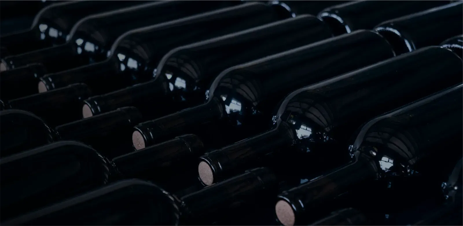 Wine bottles stored in a dark cellar